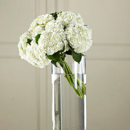 White Hydrangea Hand-Tied Bouquet –  Floreria Mexico #2, Torrance CA