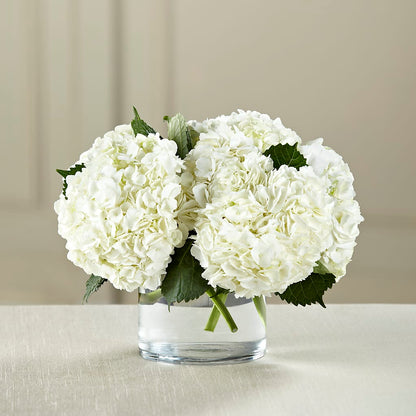 White Hydrangea Bouquet –  Floreria Mexico #2, Torrance CA